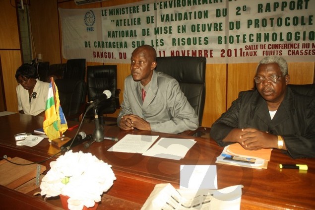 Centrafrique: Atelier de validation du second rapport national sur le Protocole de Cartagena