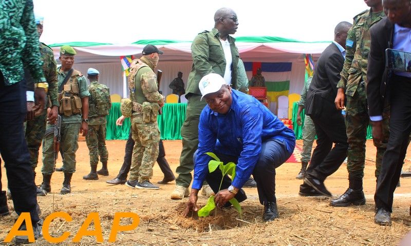 Célébration de la 38eme journée nationale de l’arbre à Bangui