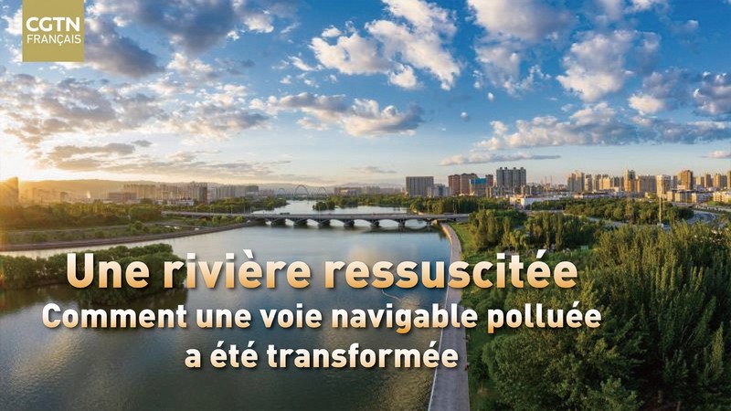 ​Une rivière ressuscitée : comment une voie navigable polluée a été transformée