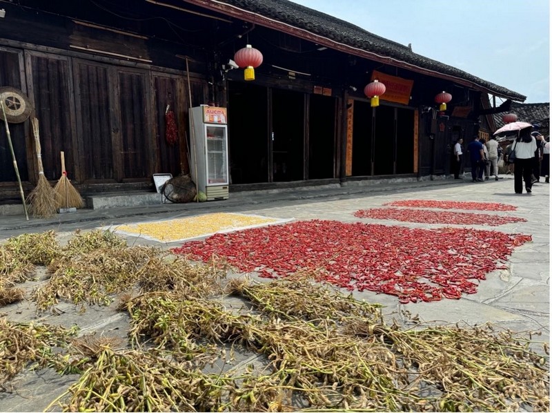 ​Shibadong, de la pauvreté à la prospérité